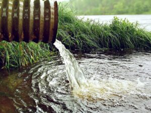 Nile pollution in Egypt: Revisiting the Household’s environmental behaviour